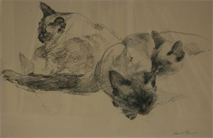 Image of My Three Cats