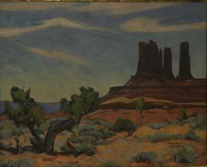 Image of Cedar, Monument Valley, UTAH