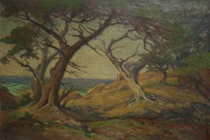 Image of Cypress Trees, Del Monte