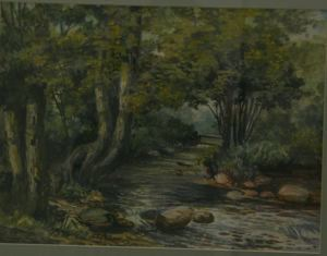 Image of Forest Stream*