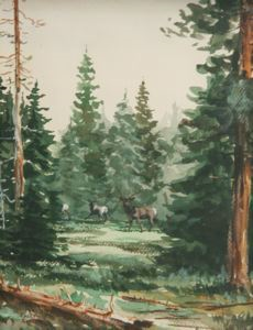 Image of Elk in Wooded Landscape