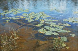 Image of Reflections Lily Pad Lake