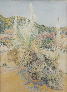 Image of Yucca Plant, Southern Utah