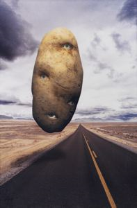 Image of Potato Head