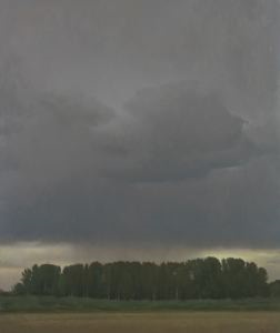 Image of Afternoon Shower