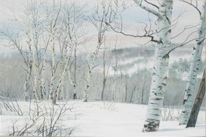 Image of Winter Birches
