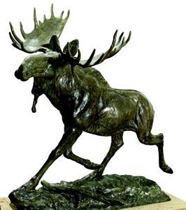 Image of The Bull Moose