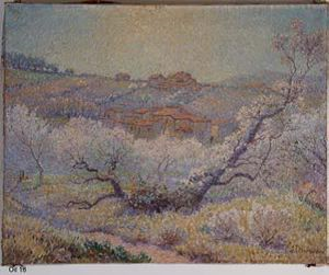 Image of Blossoms - Sunshine (Almond Trees in Bloom, Southern France)