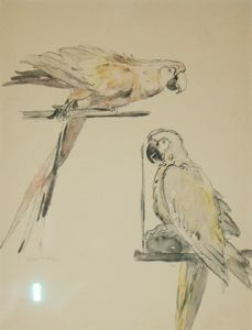 Image of Bird Study