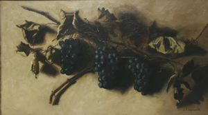 Image of Bunches of Grapes
