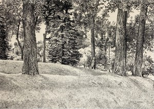 Image of Untitled [Liberty Park]