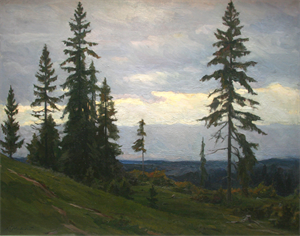 Image of Forest at Dusk