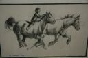 Image of Boy Riding Horse