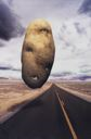 Image of Potato Head