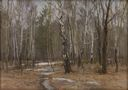 Image of Wet Day, Spring Forest "Grey Day"