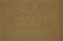 Image of Study of Trees and Buildings in California